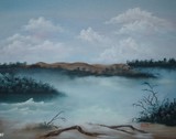 by brenda coster