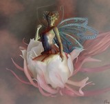 by pusy 