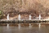 by Susan Grissom