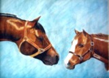 by Kathleen Wermuth