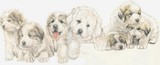 by Barbara Keith