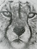 by Barbara Keith