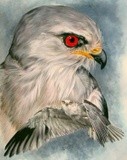 by Barbara Keith