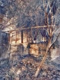 by Ropati Leaso-Cobb