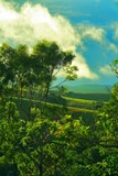 by Ropati Leaso-Cobb