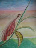 by Rebecca McCullough