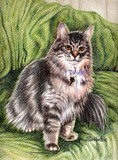 by Holly Dreibelbis-Kegerise