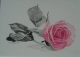 by louise whalen