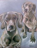 by Stephen Colyer
