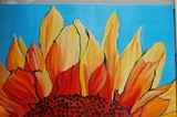 by Shelley Ohlgren