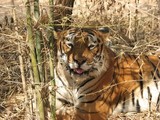 by dp mishra