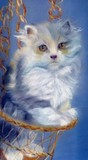 by linda lindall