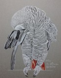 by Pio de Lima