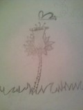 by Makayla Huskey