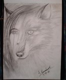 by Dan Draco