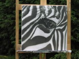 by yvonne kuijpers