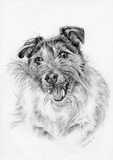 by Geraldine Simmons