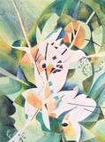 by Dianne Nungesser