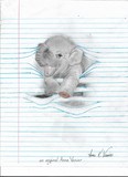 by Anne Venier