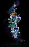by Atheena Romney