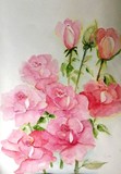 by Hedwig Pen