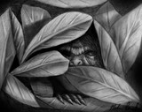 by Melissa Watson
