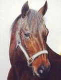 by Diane Kopczeski