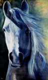 by cile bailey