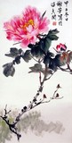 by amy xie