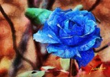 by Auber Fiori