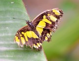 by Marie josé LAURIER