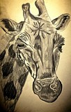 by refael degorker
