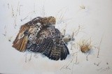 by Justin Dancing Hawk