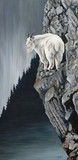by John Houle