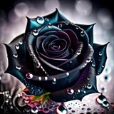 by Mihaela B