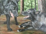 by Kathleen Brake
