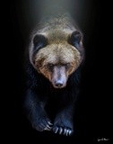 by Lynn Marie