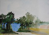 by Marty Yokawonis
