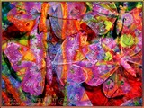 by Nira Dabush