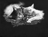 by Anne Kelty