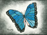 by Anne Kelty