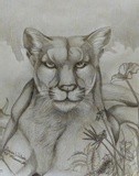 by denise wilson