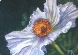 by paulette rygiel