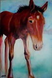 by v myers