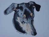 by Ruth Tyson