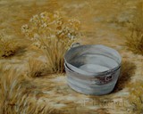 by Fiona Hooper
