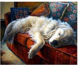 by Anna Trubnikov