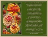 by Patty Day