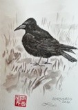 by José Ramalhão Fortunato