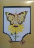 by Faith Bengtson